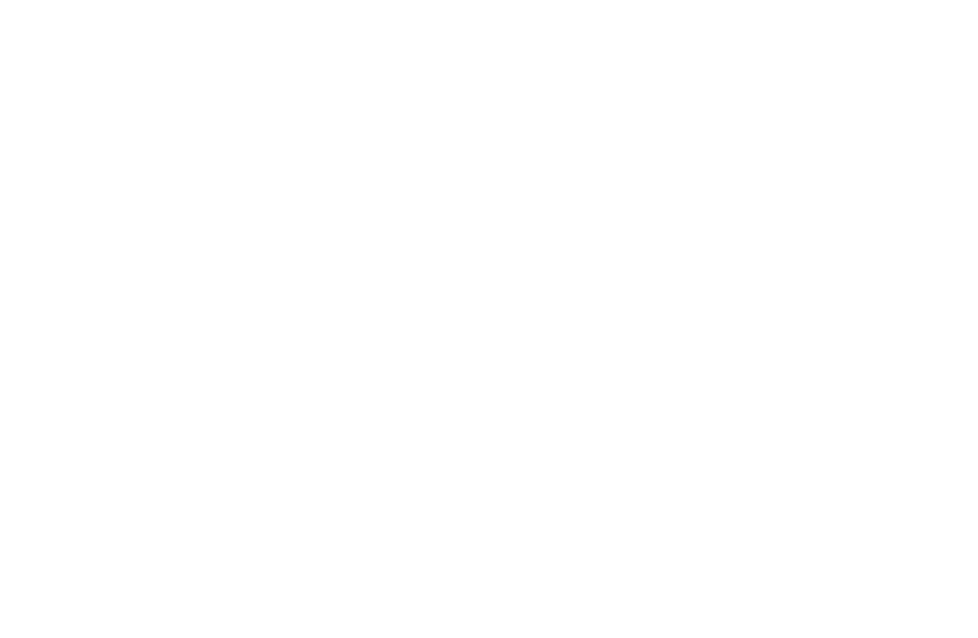 Chauvet Professional